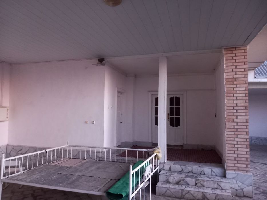 Daniy shortilar porno