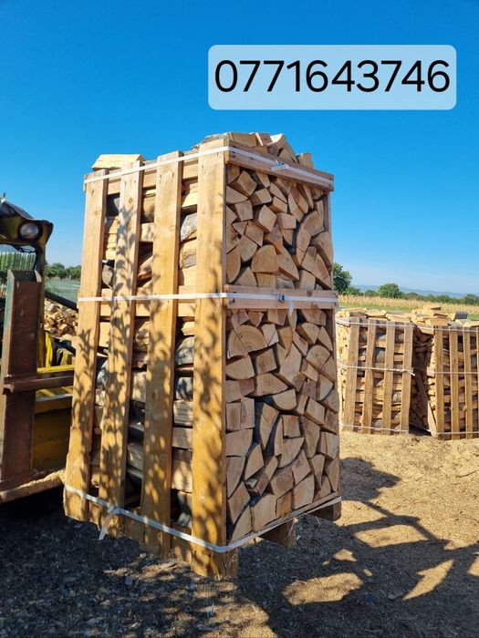 Lemne de foc paletizate fag  la palet