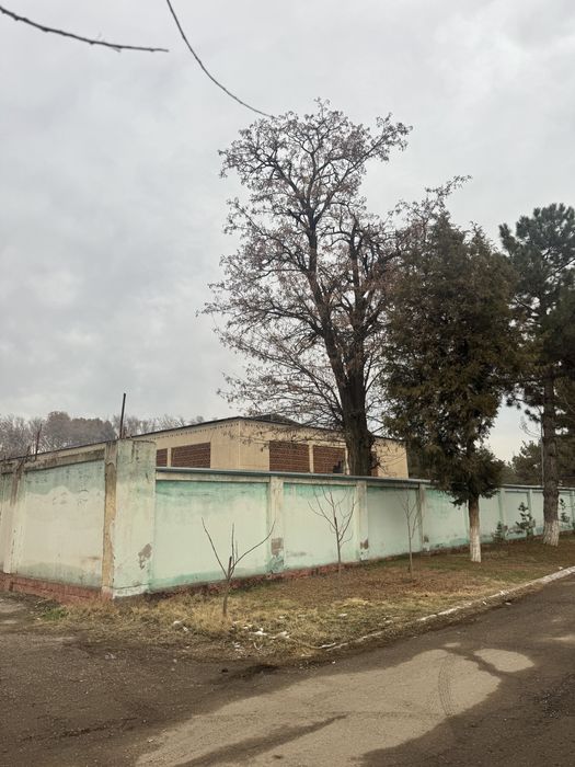 Продается Земля Янги Узбекистон