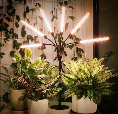 Настолна LED лампа за отглеждане на растения GroCruiser с 6 глави