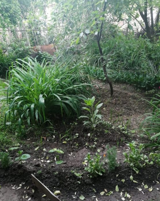 Уй ховли, дом 1 этажеый