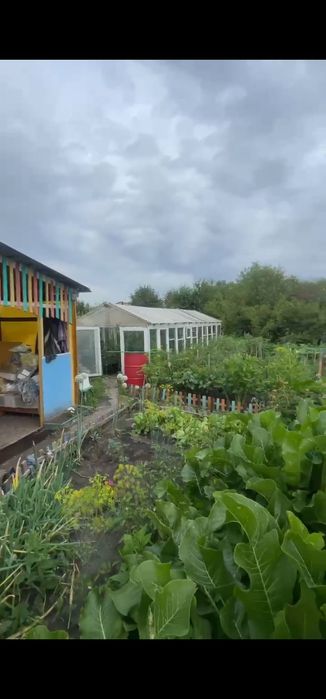 Продам дачу с/о дружба