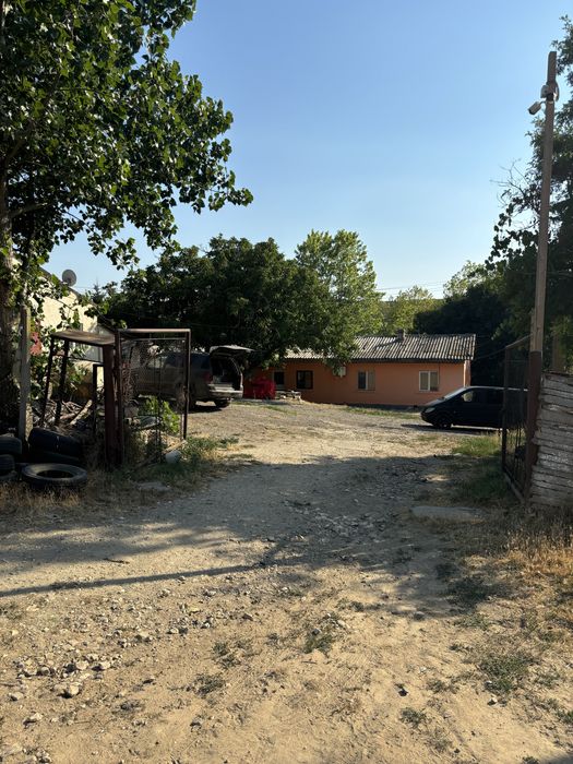 Vand Afacere Ferma zona rasova constanta plantatie bio 107 ha