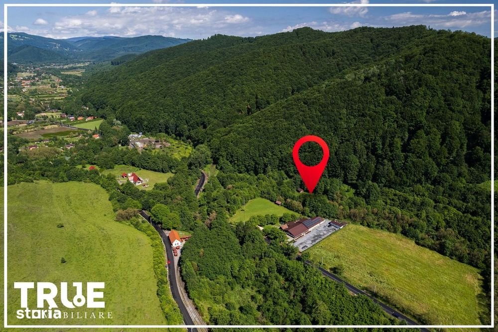 Teren intravilan 2.800 m² în Câmpu Cetății – liniște și natură