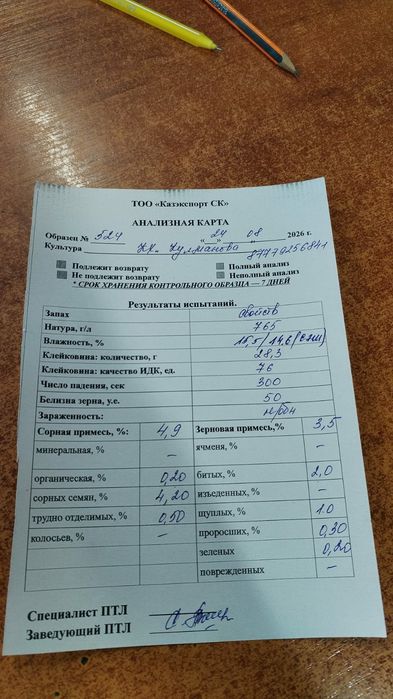 продам пшеницу .