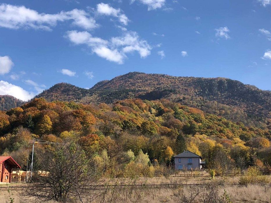 Proprietate premium în Cheile Râșnoavei.
