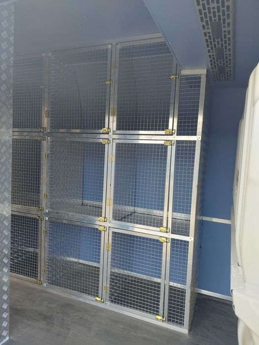 Echipez mașini transport câini