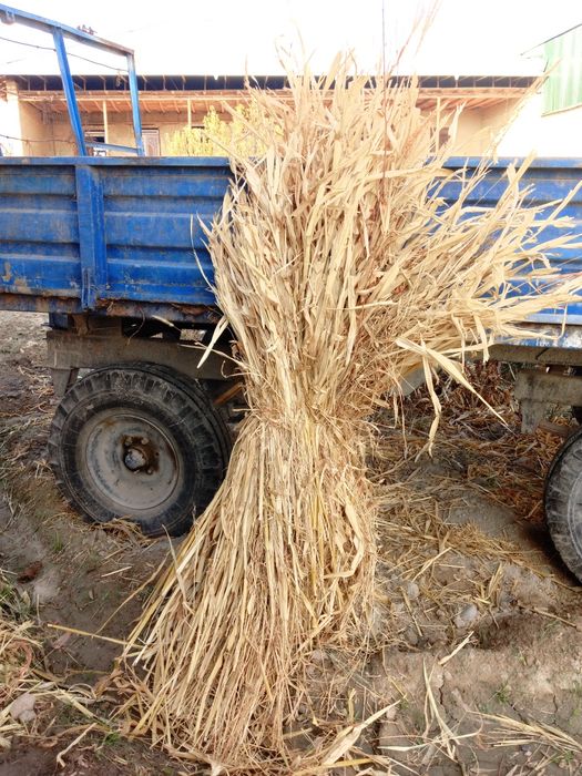 Mollar uchun sifatli barra boĝlik poya va poya preslar