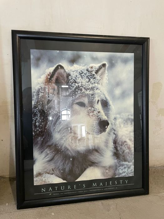 Фотокартины -2 шт