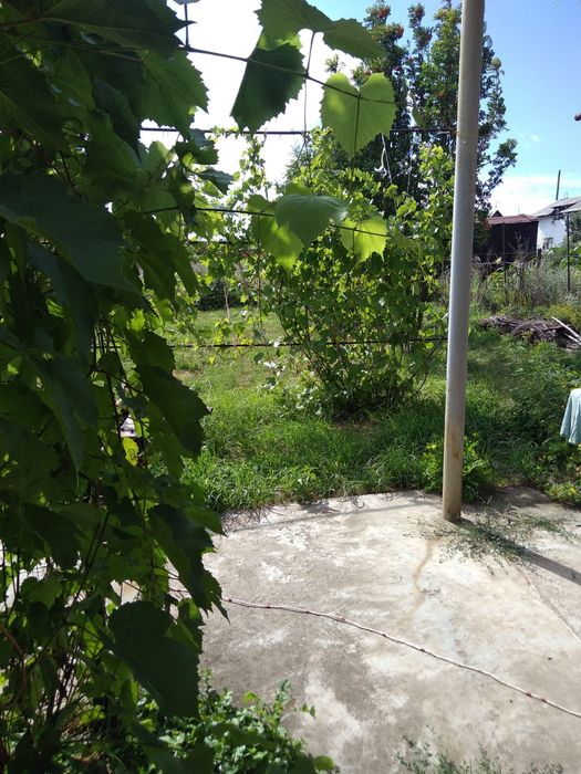 Продам дачу на берегу Иртыша