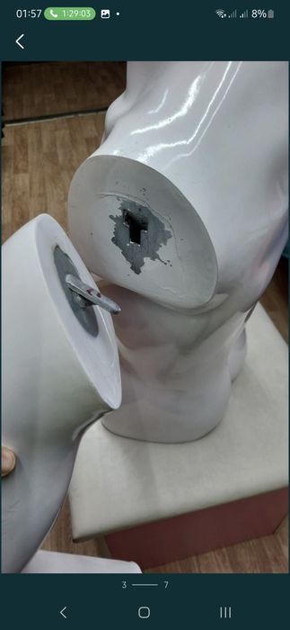 Пролам мужской торс