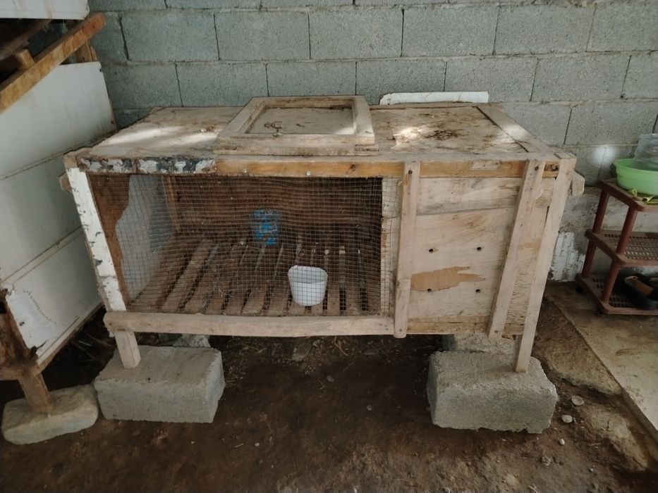 Куен катаклар сотилади