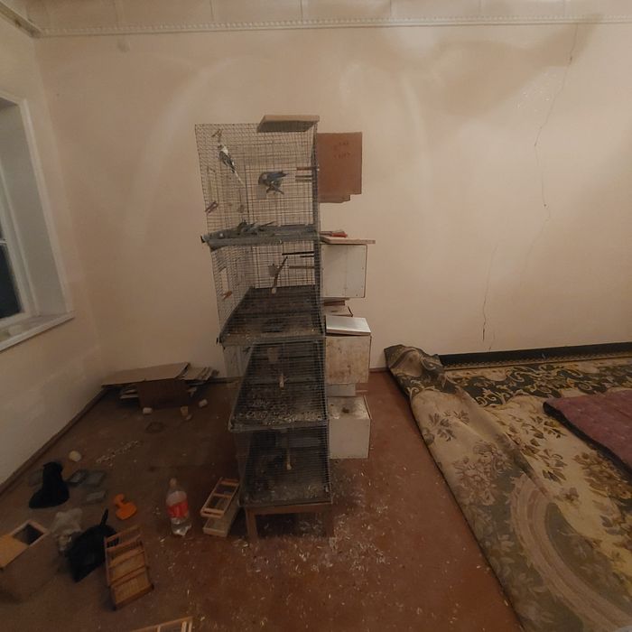 Kletka. Valnisti 12 ta paraga mojalangan