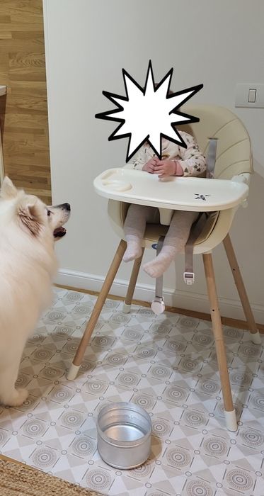 Scaunel de masa pentru bebelusi  little mom