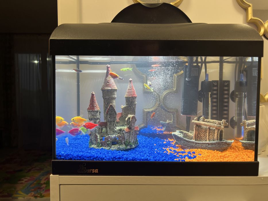 Acvariu complet echipat