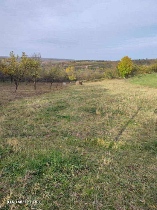 Teren de vanzare langa Zalau, loc. Hereclean