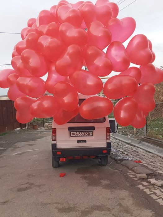 пассажирские и грузовые перевозки