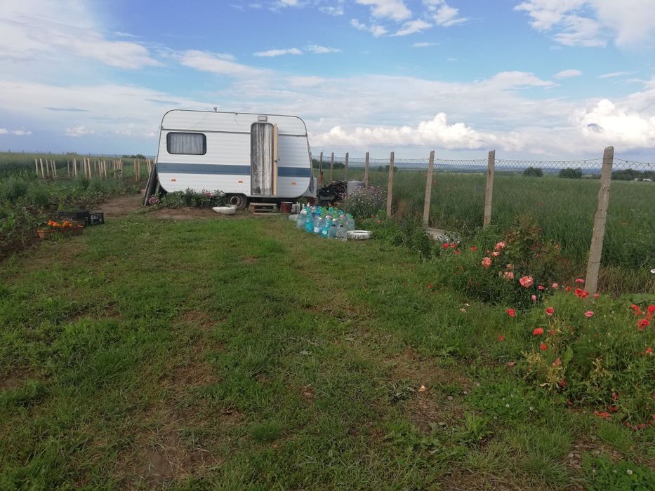 3,5 ha teren Vaculesti