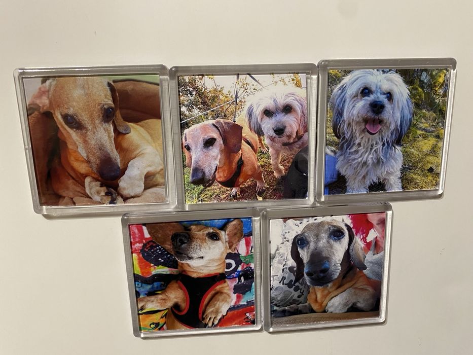 Магнит със снимка на любимец любим човек подарък куче рожден ден