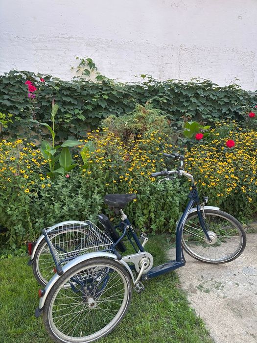 Tricicletă electrică