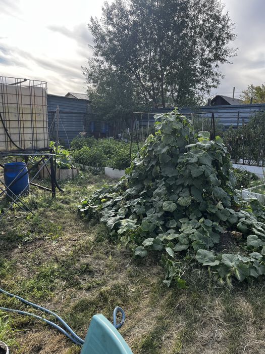 Продам дом            .