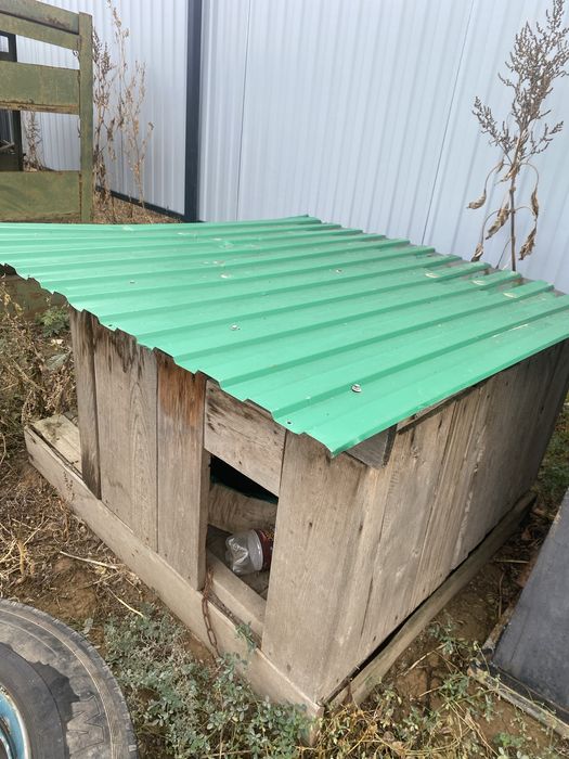 Будка для собак