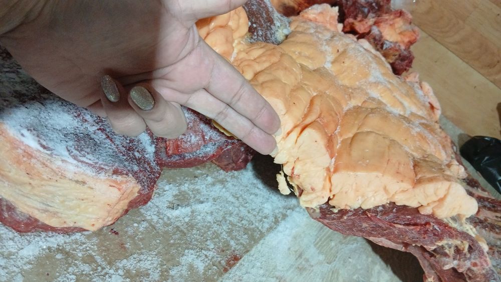 Продам Мясо конины