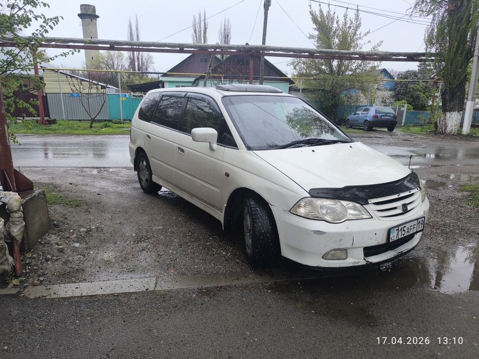 Хонда Одиссей Absolute