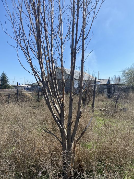 Продается дом 2 дачи 48/22