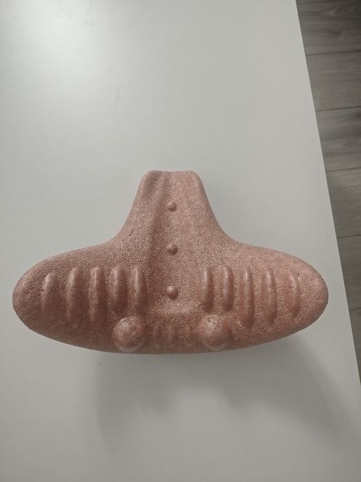 Suport anatomic pentru coloana cervicală