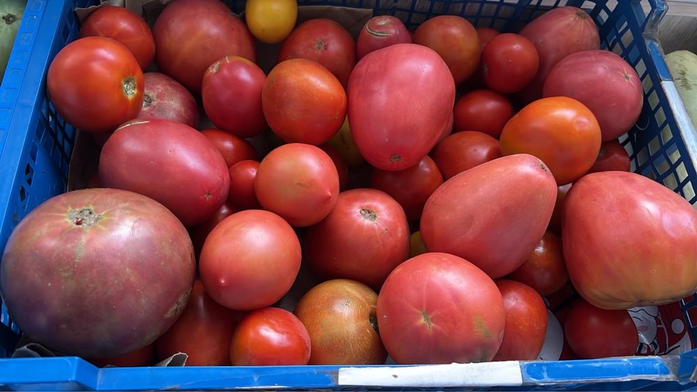 Продам домашние помидоры