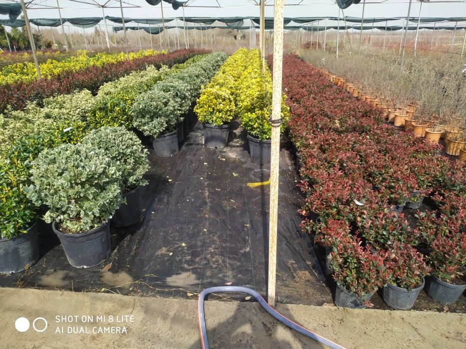 Landshaft gazon vadapad ландшафтный дизайн