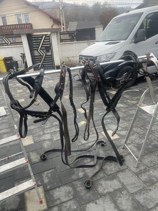 Hamuri noi unguresti din piele, pentru cai