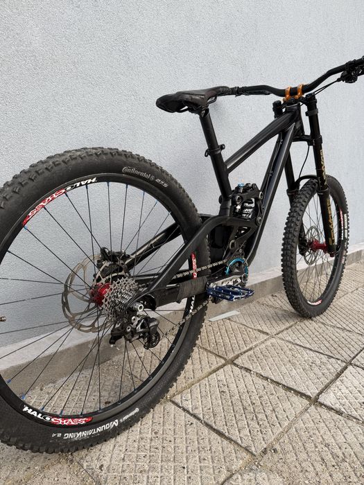 Scott Gambler 2019 M 27.5