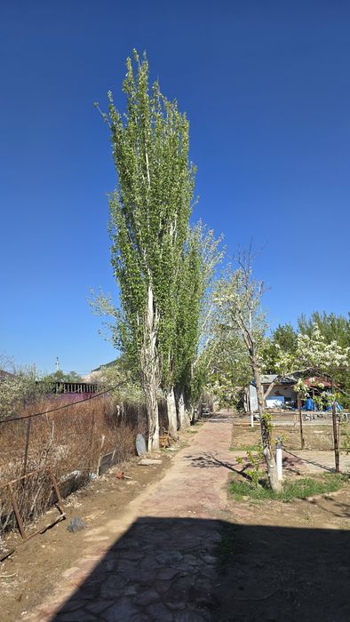 Үй сатылады Арай жақтан