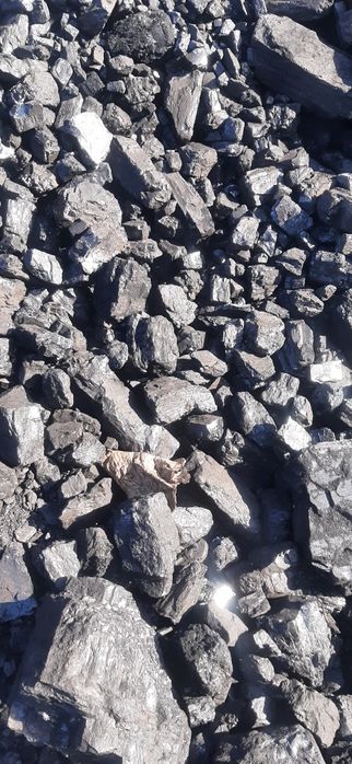 Уголь шубаркуль,кузнец, рапид