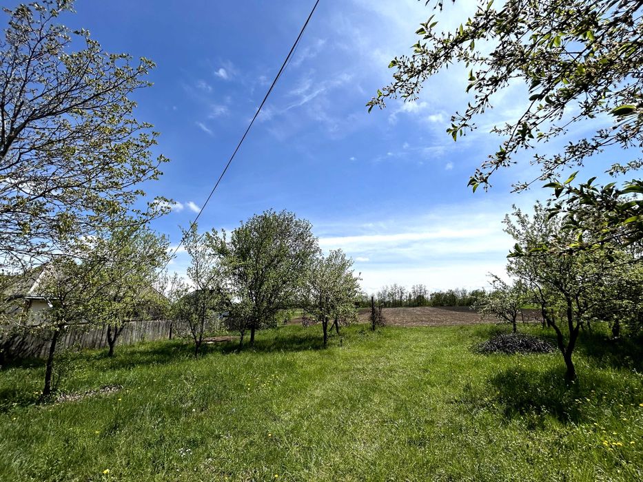 Vand Teren Intravilan 7100mp Raucesti (loc casa)