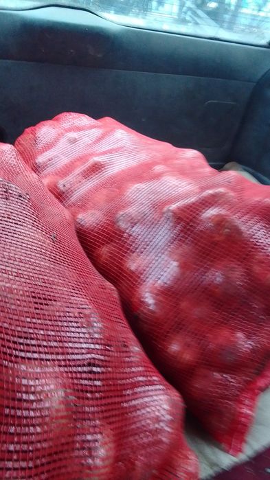 Картофель местный с доставкой до подъезда.