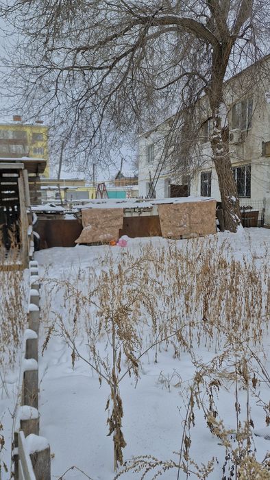 Экотон в хорошем состоянии