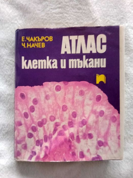 Атлас клетка и тъкани