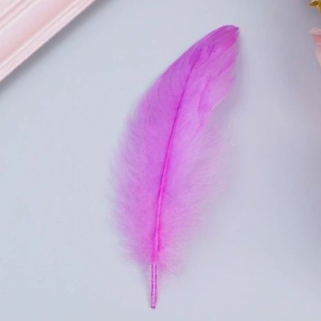 Перья для праздника, творчества