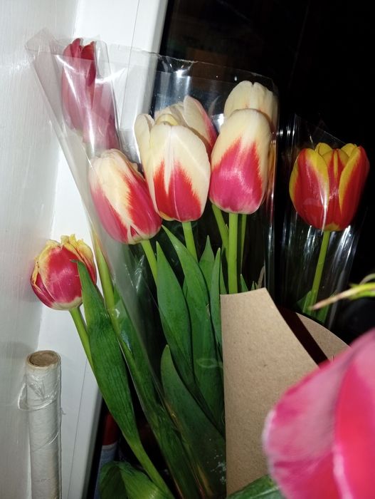 Тюльпан 1000тг корзинка 3000тг