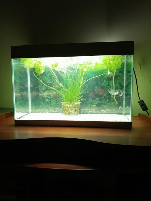 Продам новый аквариум