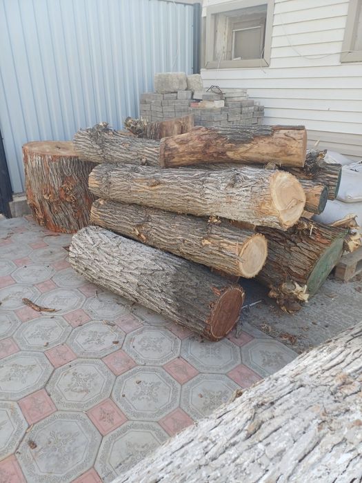 Қара ағаш кесінділері