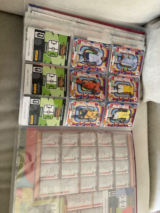 Fifa world cup карти panini
