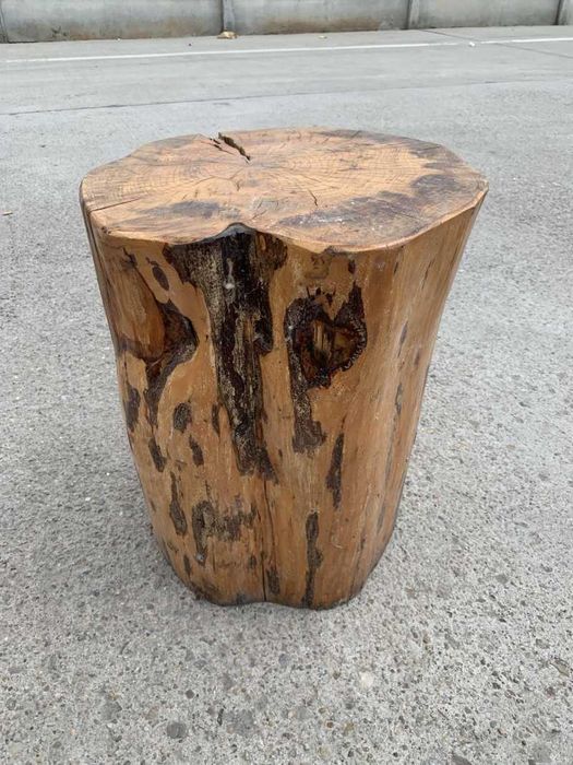 Scaun bustean de gradina