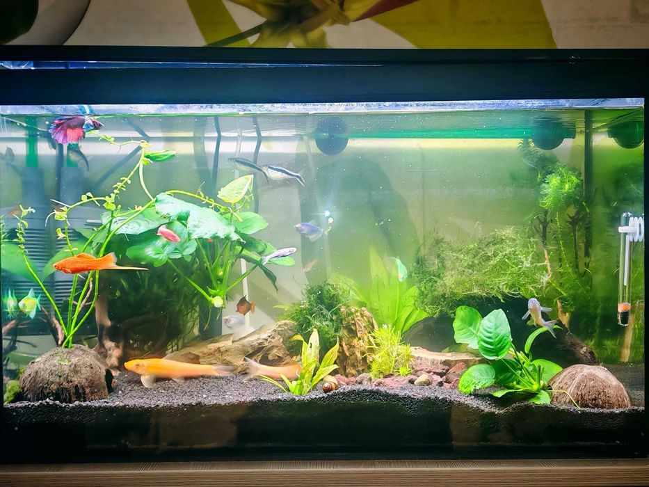 Acvariu premium 70 l