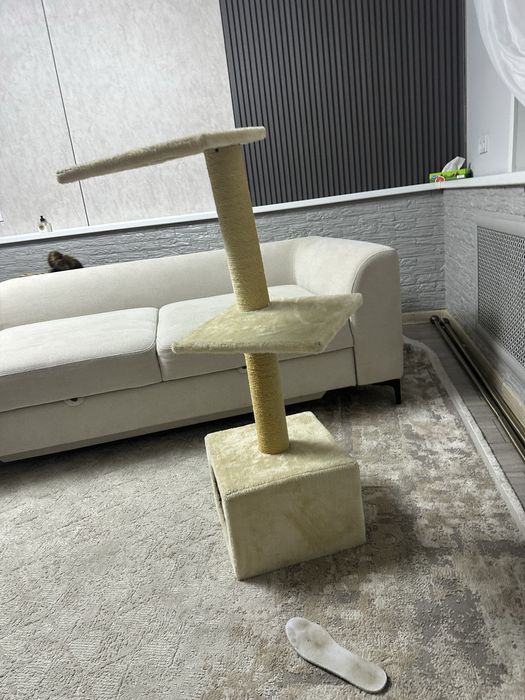 Когтеточка для кота