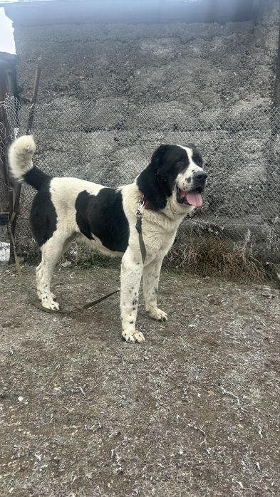 Открыт для вязок кабель