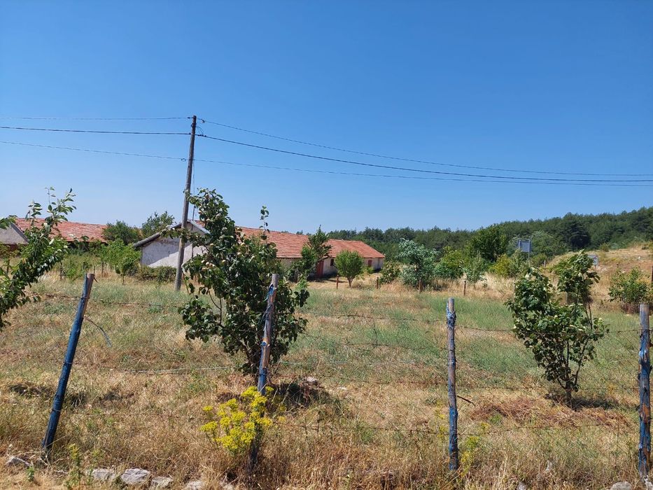 Продава се Парцел в Джебел - 2350 кв.м за 29 €/кв.м - Снимка #6